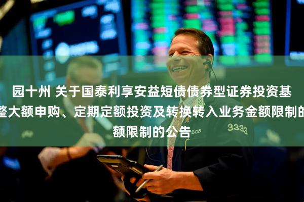 园十州 关于国泰利享安益短债债券型证券投资基金调整大额申购、定期定额投资及转换转入业务金额限制的公告