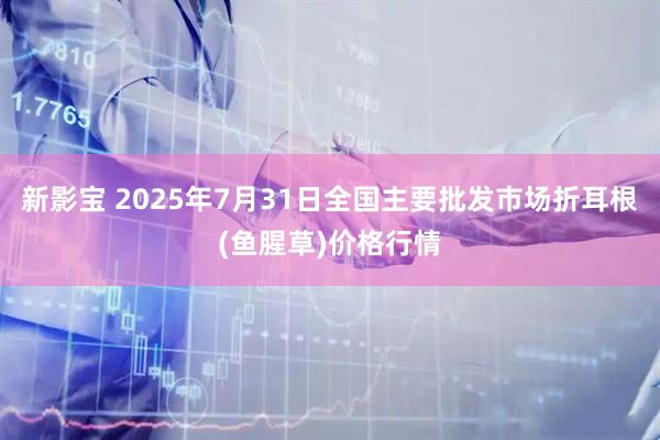 新影宝 2025年7月31日全国主要批发市场折耳根(鱼腥草)价格行情
