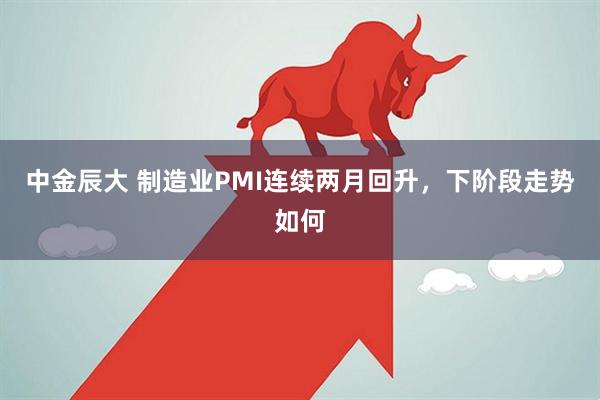中金辰大 制造业PMI连续两月回升,下阶段走势如何